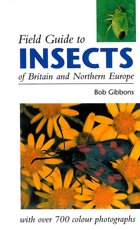 FIELD GUIDE TO INSECTS OF BRITAIN AND NORTHERN EUROPE -  Bob Gibbons