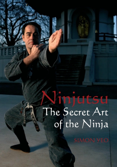 Ninjutsu - Simon Yeo