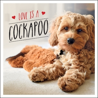 Love is a Cockapoo - Charlie Ellis