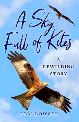 A Sky Full of Kites - Tom Bowser