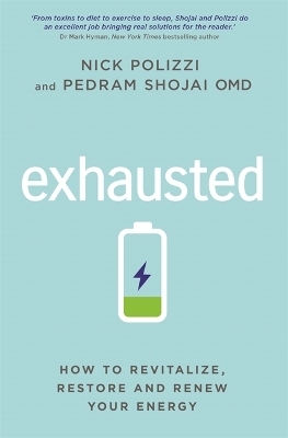 Exhausted - Nick Polizzi, Pedram Shojai