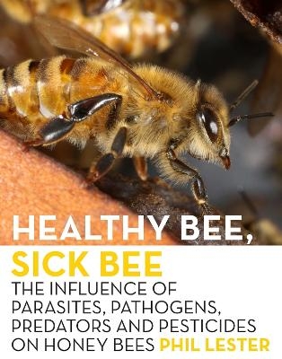 Healthy Bee, Sick Bee - Phil Lester