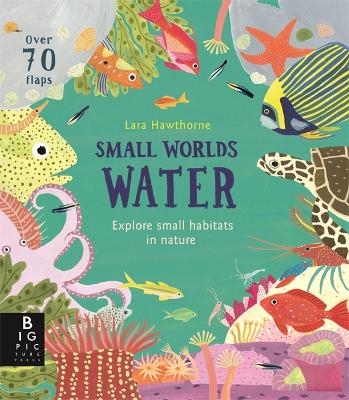 Small Worlds: Water - Lily Murray