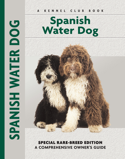 Spanish Water Dog - Cristina Desarnaud