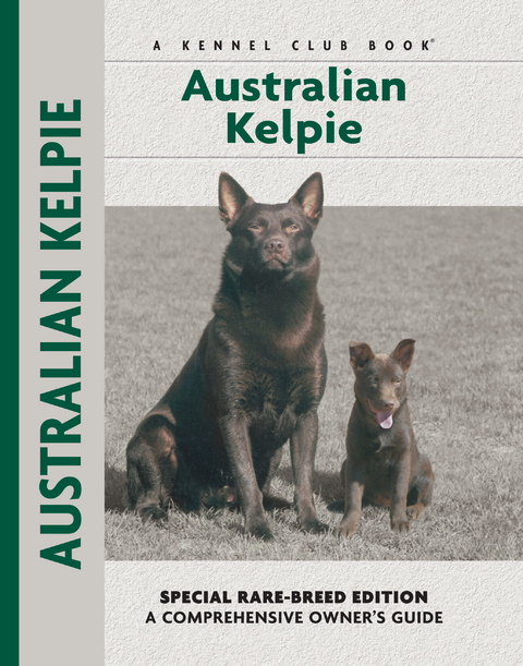 Australian Kelpie - Charlotte Schwartz