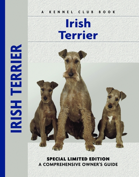 Irish Terrier - Bardi McLennan