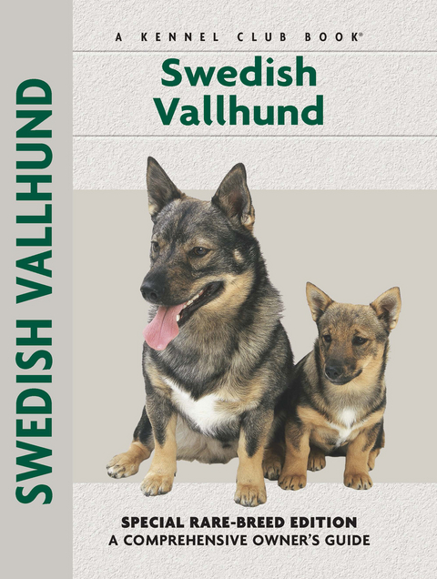 Swedish Vallhund - Janice Willton