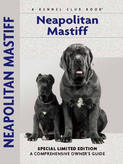 Neapolitan Mastiff - Carol Paulsen