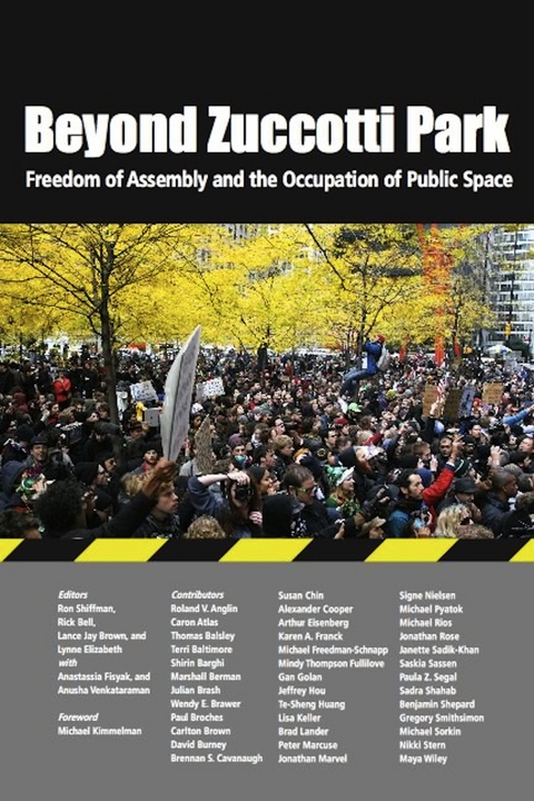 Beyond Zuccotti Park - 