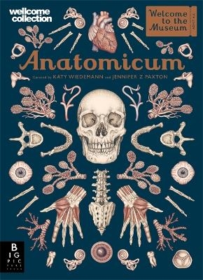 Anatomicum - Jennifer Z Paxton