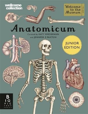 Anatomicum Junior - Jennifer Z Paxton