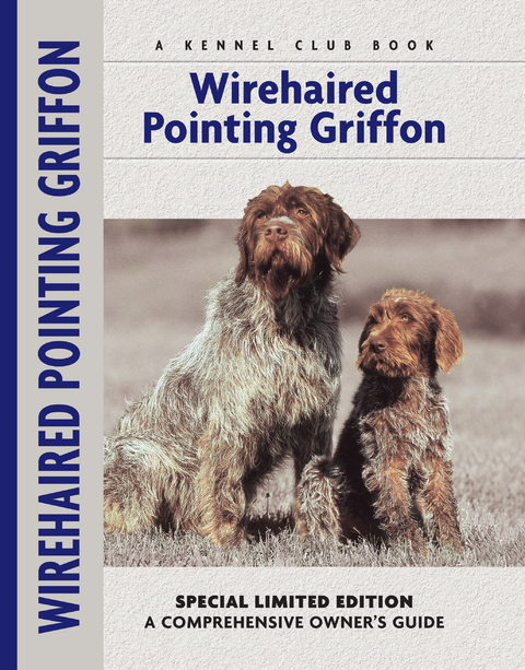 Wirehaired Pointing Griffon - Nikki Moustaki