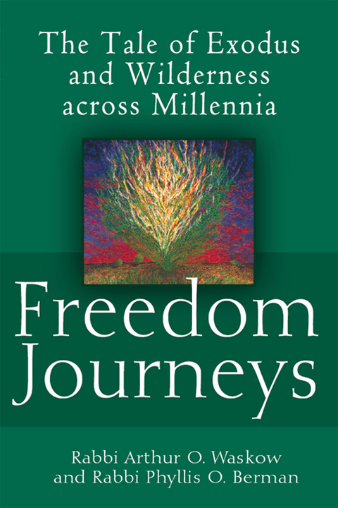 Freedom Journeys - Arthur O. Waskow, Phyllis Berman