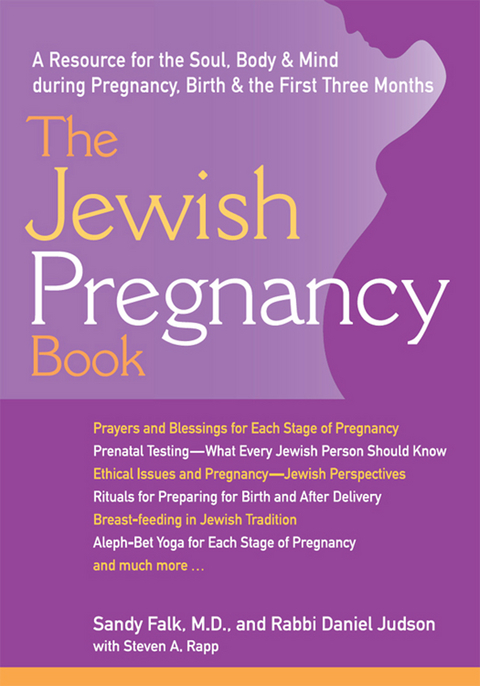 Jewish Pregnancy Book -  Sandy Falk,  Daniel Judson,  Steven Rapp