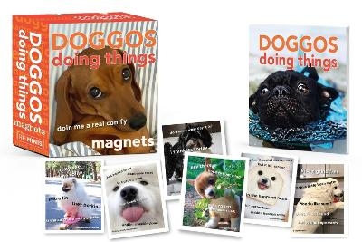 Doggos Doing Things Magnets -  Doing Things Media