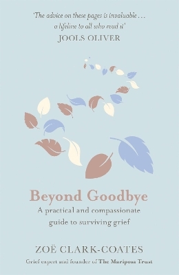 Beyond Goodbye - Zoë Clark-Coates