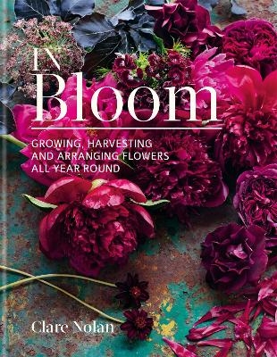 In Bloom - Clare Nolan