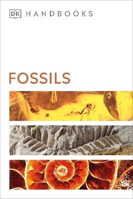 Fossils -  Dk, David Ward