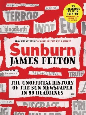 Sunburn - James Felton
