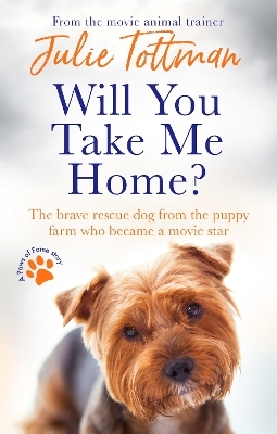 Will You Take Me Home? - Julie Tottman
