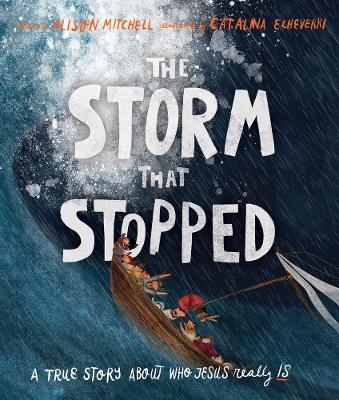 The Storm That Stopped Storybook - Alison Mitchell