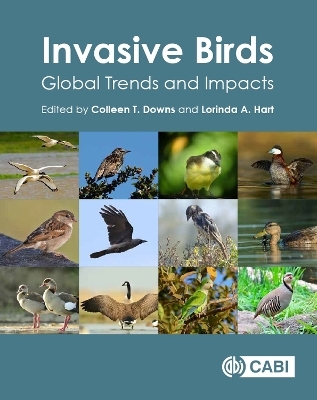 Invasive Birds - 