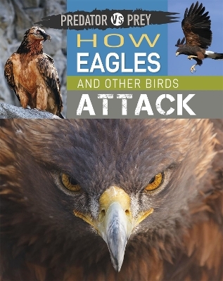 Predator vs Prey: How Eagles and other Birds Attack - Tim Harris
