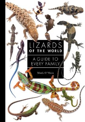 Lizards of the World - Mark O'Shea