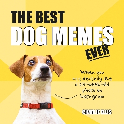 The Best Dog Memes Ever - Charlie Ellis