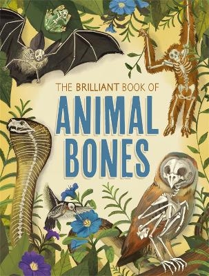 The Brilliant Book of Animal Bones - Anna Claybourne
