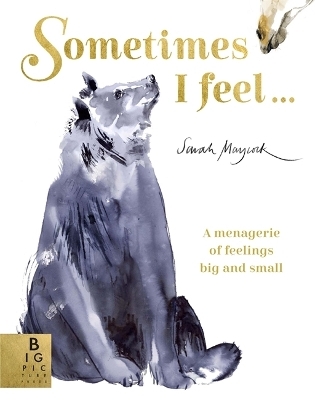 Sometimes I Feel... - Sarah Maycock