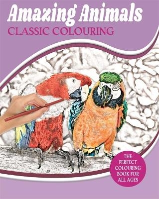 Amazing Animals Classic Colouring -  Igloo Books