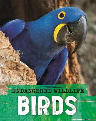 Endangered Wildlife: Rescuing Birds - Anita Ganeri
