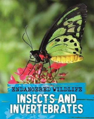 Endangered Wildlife: Rescuing Insects and Invertebrates - Anita Ganeri