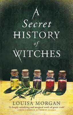 A Secret History of Witches - Louisa Morgan