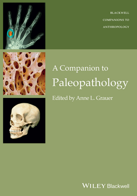 Companion to Paleopathology - 