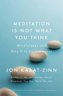 Meditation is Not What You Think - Jon Kabat-Zinn