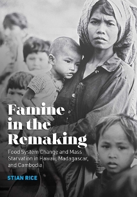 Famine in the Remaking - Stian Rice