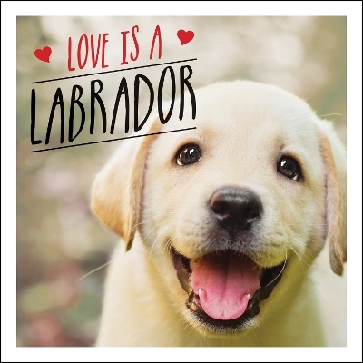 Love is a Labrador - Charlie Ellis