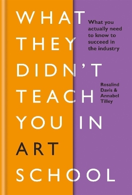 What They Didn't Teach You in Art School - Rosalind Davis, Annabel Tilley