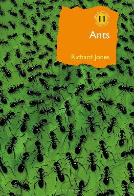 Ants - Richard Jones