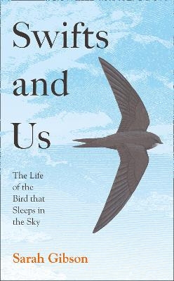 Swifts and Us - Sarah Gibson