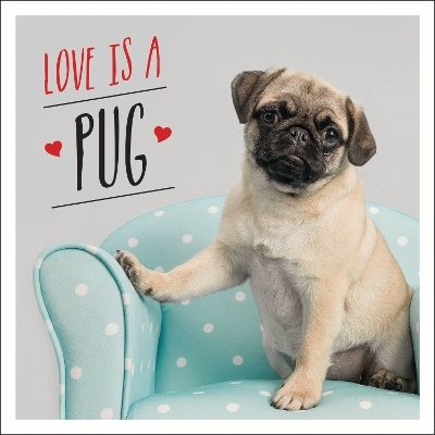 Love is a Pug - Charlie Ellis