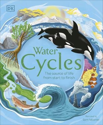 Water Cycles -  Dk