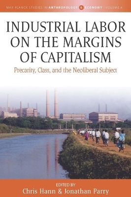 Industrial Labor on the Margins of Capitalism - 