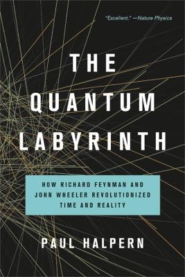 The Quantum Labyrinth - Paul Halpern