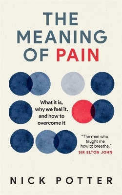 The Meaning of Pain - Nick Potter