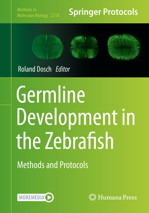Germline Development in the Zebrafish - 