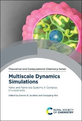 Multiscale Dynamics Simulations - 