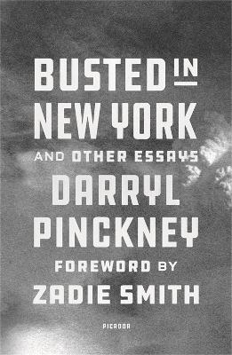 Busted in New York & Other Essays - Darryl Pinckney